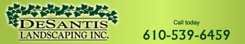 DeSantis Landscaping, Inc