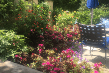 Perennials, Annuals and Pots