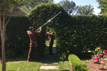 Property Maintenance, Fine Pruning, Plant Health Care