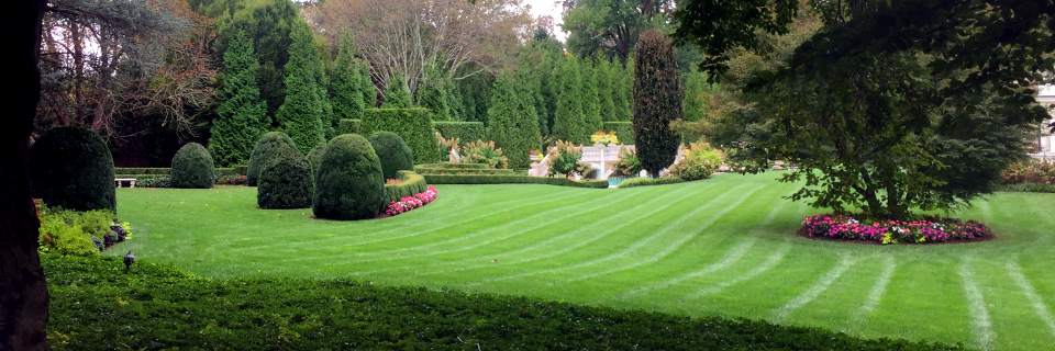 Let us manage every aspect of your outdoor maintenance
